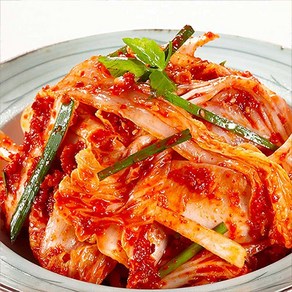 명동칼국수 마늘겉절이 마늘김치 명칼김치(마늘겉절이), 1개, 2kg