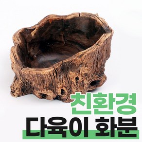 지피코 인테리어 화분 나무뿌리 모양 다육이화분