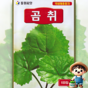 곰취 100립 산채 산나물 민속 향채소 쌈채소 씨앗 종자 동원 모든, 1개