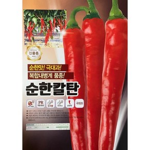 농우 순한칼탄 고추씨앗 1200립 순한맛 고추종자 극대과 복합내병계 +칼슘제셋트, 1개