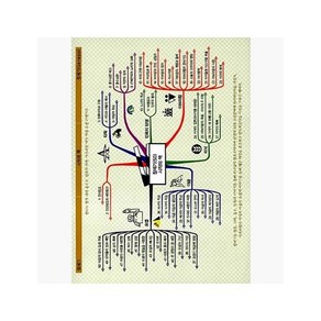 마인드맵 성경도표 (요약본) : 효과적인 성경통독을 위한 통합적 성경연구와 - 강시원 [1WY]