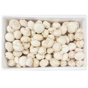 머쉬그로 당일수확 당일발송 국내최대규모 양송이농장 GAP 양송이 꼬다마 1kg, 1박스