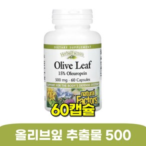 내추럴팩터스 올리브잎추출물 500 올레유로핀 15프로 60캡슐, 1개, 60정