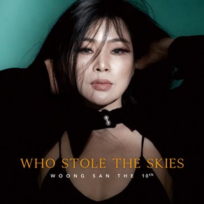 웅산 - Who Stole the Skie 정규 10집 앨범