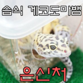 도마뱀 습식 은신처 S 레오파드 게코 은신처, 1개