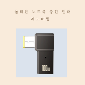 올리민 USB3.1 C타입 PD to DC 변환 노트북 충전 젠더, 17. PD to DC, 1개, 레노버형