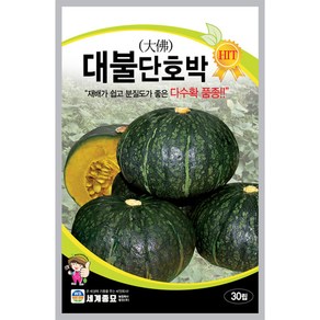 단호박씨앗 대불 단호박 종자 30립 세계종묘, 1개