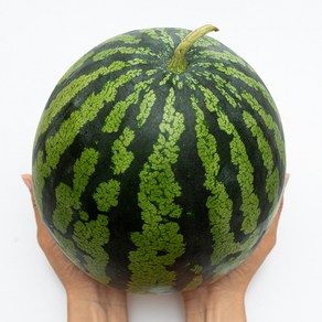 가정용 실속형 못난이 수박, 1개, 4kg