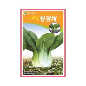 (DN) 새싹 청경채 씨앗(12g), 1개