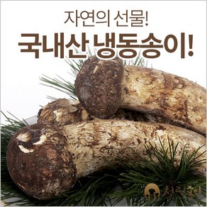 청림송이(청림상사) 자연산 송이버섯(냉동)