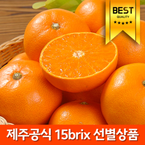 [3차앵콜오픈] 15bix 당도보장 제주명품 천혜향, 1개, 3kg 로얄가정용(12-16과내외)