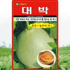 아람종묘 대박 씨앗 10립 바가지용 큰박씨 종자, 1개