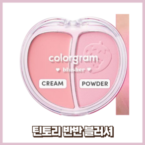 컬러그램 틴토리 반반 블러셔 3 COLOR, 1개, 03 복숭러셔