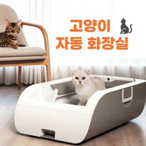 LITTEPETS 고양이 자동 화장실 공기청정 스마트 화장실, 1개