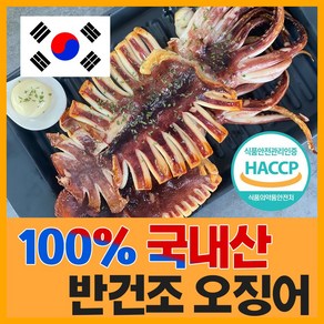 [득템몰] 구룡포 피데기 반건조오징어 파지국산 5 10 손질오징어 캠핑요리 술안주 마른오징어 쫄쫄이오징어 동해오징어, 반건조오징어(치미)5미 250g, 1세트