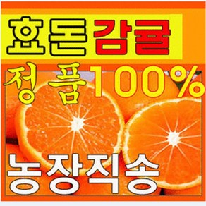 제주효돈감귤(농협납품) 5 10kg-당일선별배송 5kg(큰귤)(2L... 1개, 5kg(중간귤)(S,M,L)