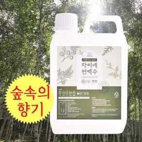 파피샵 차씨네 편백수 2리터 은은한 편백수원액 피톤치드 탈취제, 2L, 1개