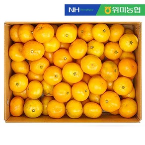 싱귤생귤 12bix 고당도 제주 감귤 10kg, 1개