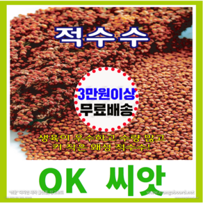 [OK씨앗] [적수수] 수수씨앗 종자(오케이씨앗), 1개