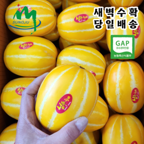 성주 참외 당도선별 산지직송 가정용 선물용, 1박스, 3kg 가정용 (중 소과)