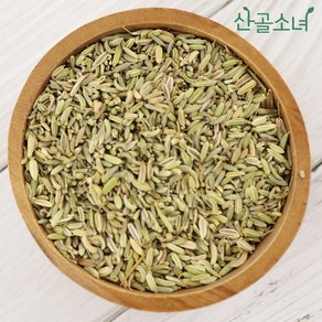 산골소녀 인도산 산미나리씨 회향, 300g, 1개