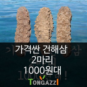 가격이 싼 건해삼 2마리 마리당 1000원대, 2개