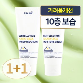 센텔루션 나노시카 모이스처(수분)크림 100ml, 2개