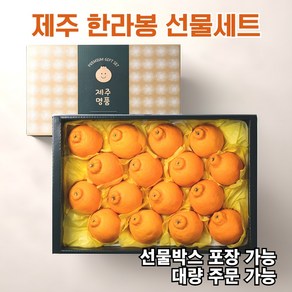 봄달래 제주 한라봉 선물 세트 2025 설 명절용, 1박스, 2kg 중대과 (6~12과 / 실중량 1.8kg)