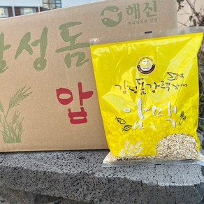 해신 감성돔 압맥 1박스 25개입 감성돔 집어제 순수 압맥 감성돔 참돔낚시, 1개, 6.5kg