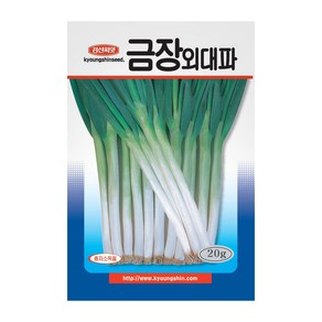 경신종묘 대파씨앗 금장외대파 20g, 1개