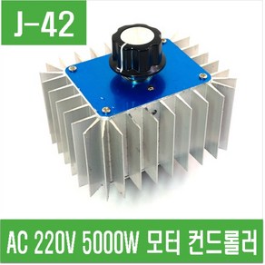 e홈메이드(J-42) AC 220V 5000W 모터 컨트롤러, 1개