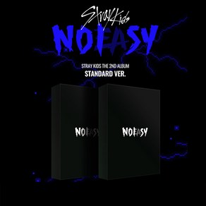 스트레이키즈 일반반 정규 2집 앨범 NOEASY 노이지 예약 발매 CD [버전선택], 랜덤버전, 포스터 받지 않음