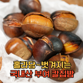 (국내산)부여 뜨래밤 특대 칼집밤 군밤