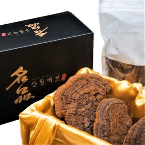 상황버섯 30년산 500g 자연산 원형발송 효도선물 고급포장, 1개