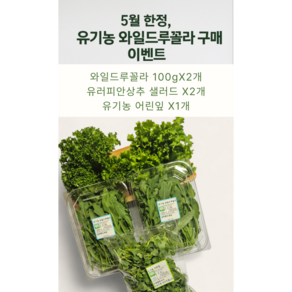 [바오팜] 유기농 와일드 루꼴라 샐러드 채소 5월 이벤트중 한정수량, 100g, 2개