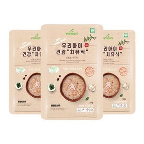 펫루트 우리아이 치유식 반려견 영양죽, 오리, 120g, 3개