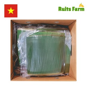 [루츠팜] 베트남 생 바나나잎 10kg 베트남바나나잎 banana leaf 생바나나잎, 1개