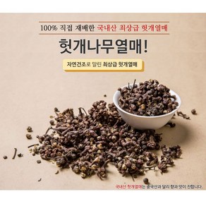 100% 직접 재배한 국내산 헛개열매 300g / 500g 헛개나무 지구자 헛개차, 1개