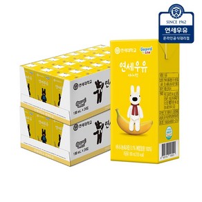 [연세우유] 가스파드 바나나 우유 190ml (48팩), 48개