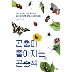 곤충이 좋아지는 곤충책:호랑나비에서 애집개미까지 우리 주변 곤충들의 신비로운 세계