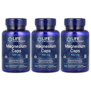 라이프익스텐션 3개X 마그네슘 캡슐 500 mg 100 베지 캡슐, 3개