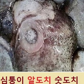 (쌍다리상회)심퉁이 냉동 알도치 숫도치 냉동, 1개, 급냉 알도치 1마리 통마리 급냉