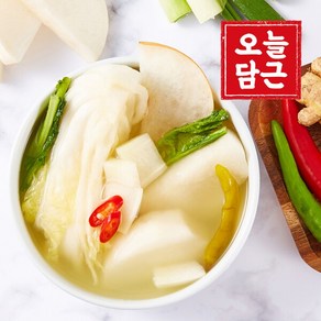 [오늘담근] 전라도 동치미 2kg, 1개