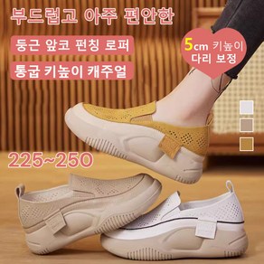 둥근 앞코 펀칭 여성 메쉬 운동화 여성 통굽 샌들 모던/캐주얼/편안함(225-250)