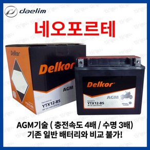 대림 네오포르테 AGM 배터리 12V 10Ah, 1개