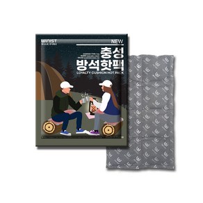 NEW충성 방석 핫팩 특대형 차박 캠핑용 반려동물 560g