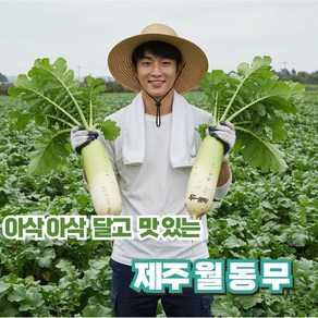 [밭 그대] 제주직송 제주 월동무 정품 작은이 못난이 구성 로얄 무, 1개, 월동무못난이5kg