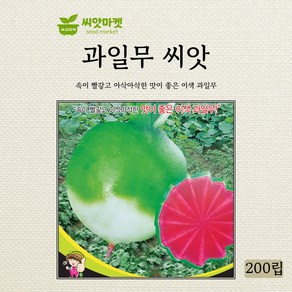 세계종묘 과일무 씨앗200립, 1개