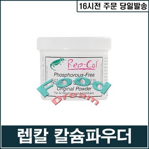 [렙칼] 오리지날 칼슘파우더 영양제