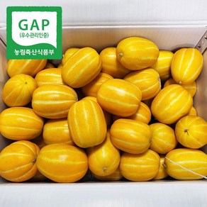 [GAP인증]당도보장 꿀 제철 과일 성주 실속 참외 가정용 소과, 1박스, 5kg(25-35과)